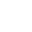 Python Icon